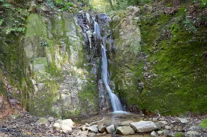 �I����̑�